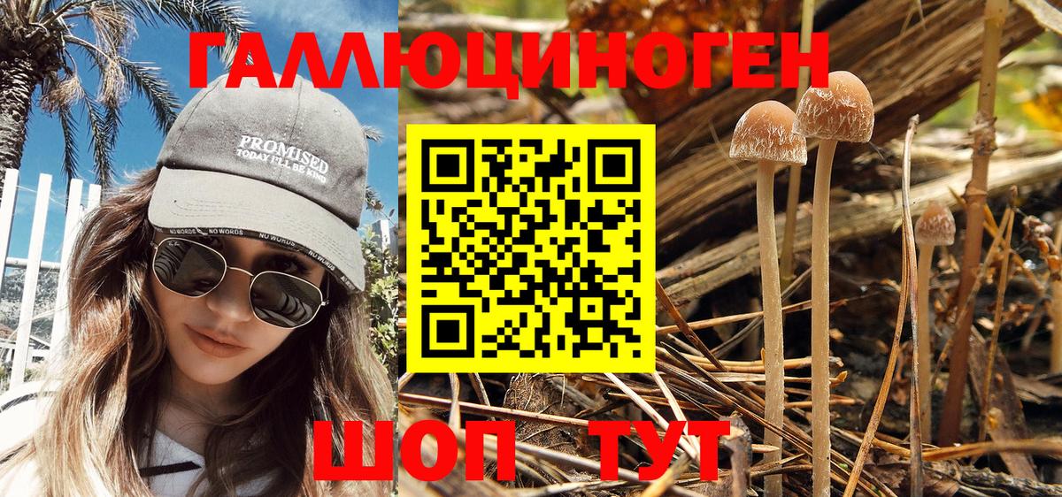 Псилоцибиновые грибы мухоморы Альметьевск