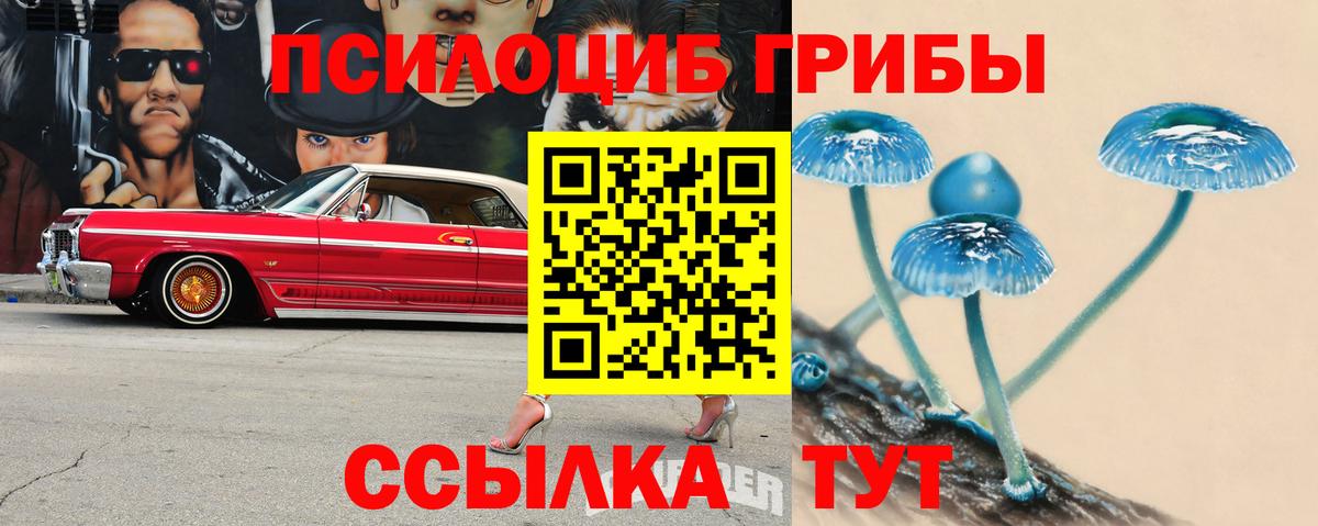 Альметьевск  Галлюциногенные грибы Psilocybe  Вход с VPN 